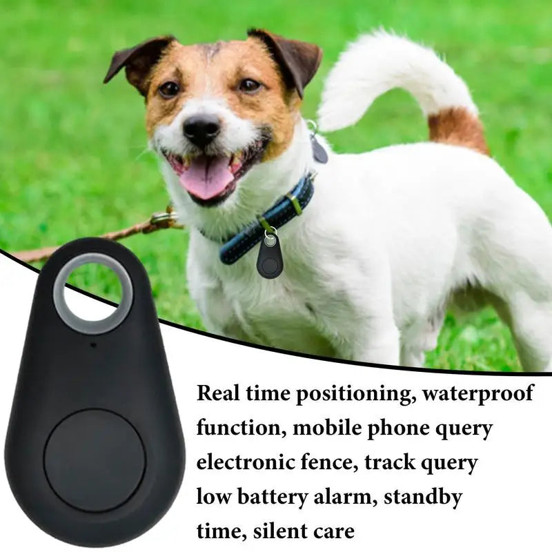 Portable GPS Tracking Mobile Key